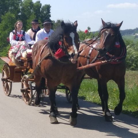 miniaturka wpisu aktualności